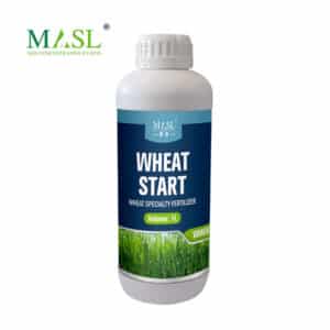Fertilizante Especializado para Trigo em Fase Inicial