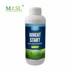 Fertilizante Especializado para Trigo em Fase Inicial