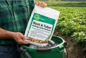 Fertilizante Especial para Aumento de Volume de Raízes e Tubérculos