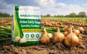 Fertilizante Especializado para o Estádio Inicial da Cebola