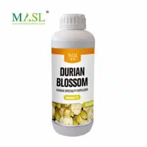 Fertilizante Especializado para Floração e Frutificação de Durian