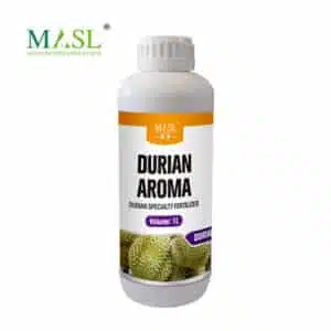 Aumento do Doce do Durian