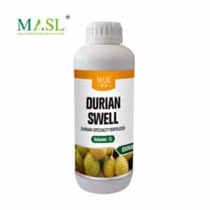 Fertilizante Especial para Expansão de Fruto Durian