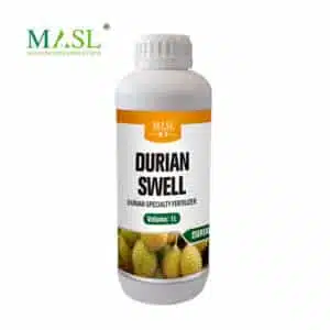 Fertilizante Especial para Expansão de Fruto Durian