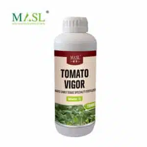 tomato fertilizer