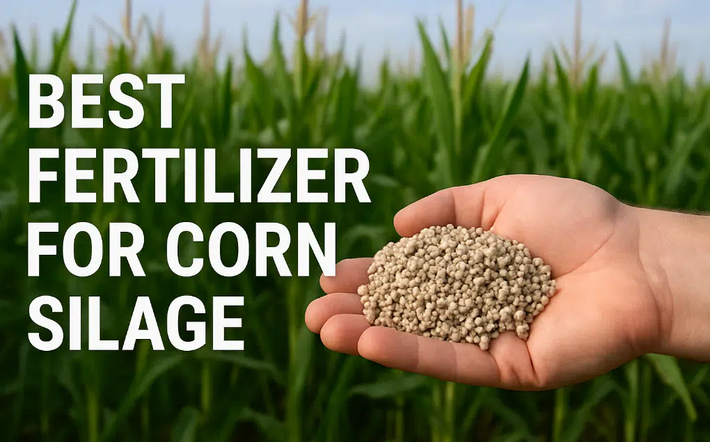 El mejor fertilizante para maíz