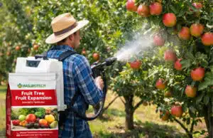 Adubo para fase de inchamento dos frutos