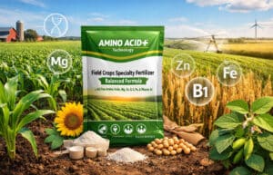 Fertilizante Especializado para Culturas de Campo