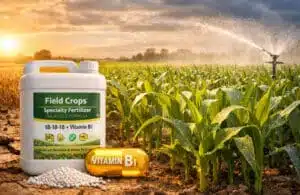 Fertilizante Especializado para Culturas de Campo