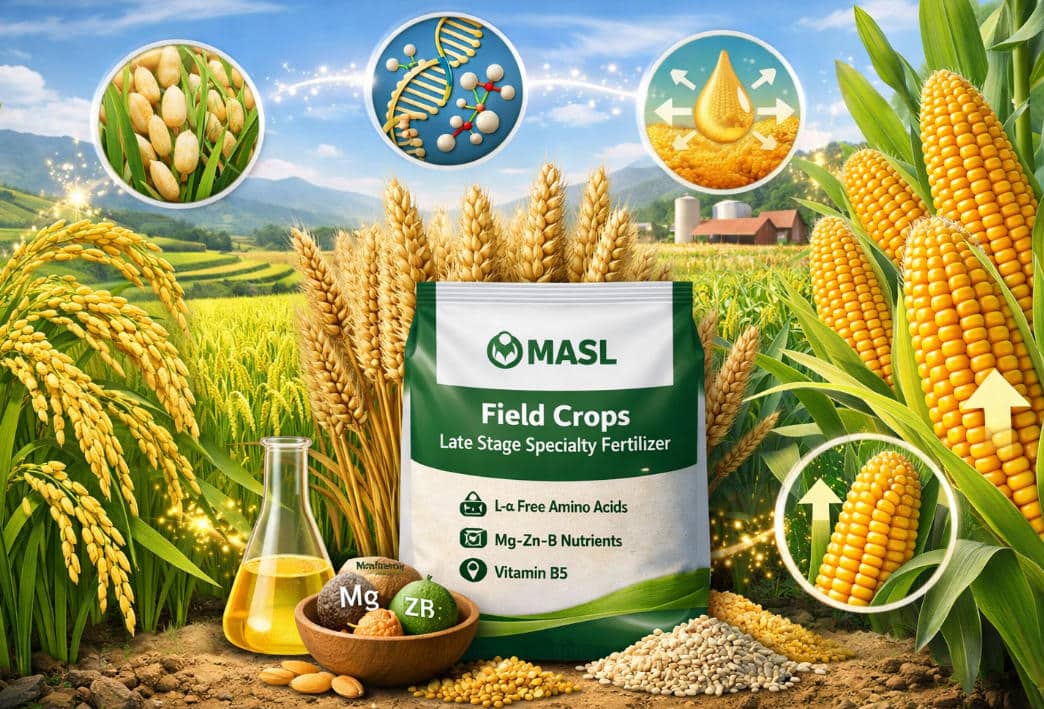 late stage fertilizer for rice