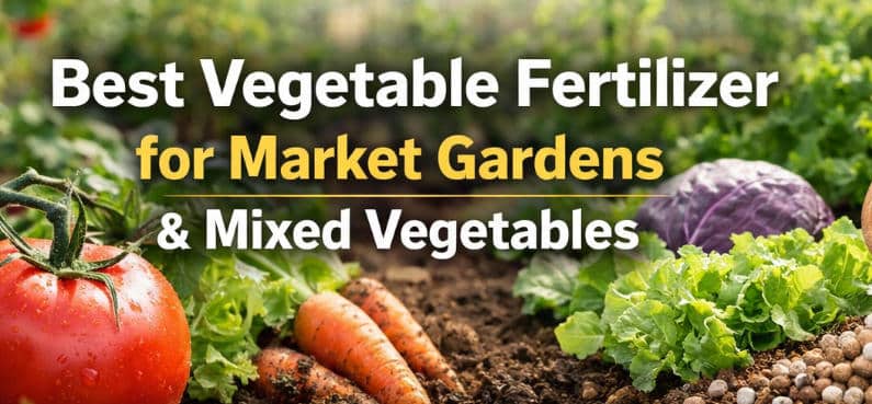 best vegetable fertilizer