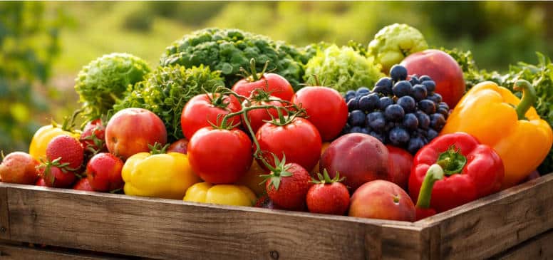 vegetable and fruit color ripening stage fertilizer