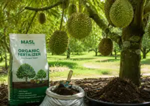 Fertilizante orgánico para durián
