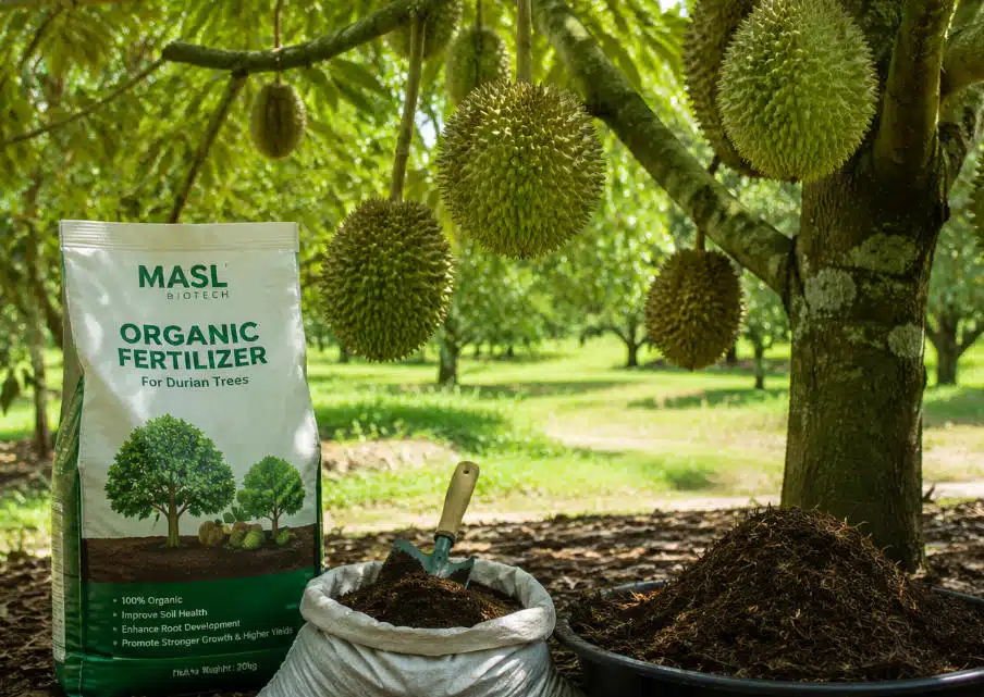organic durian fertilizer