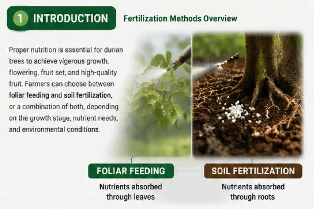 durian foliar spray guide